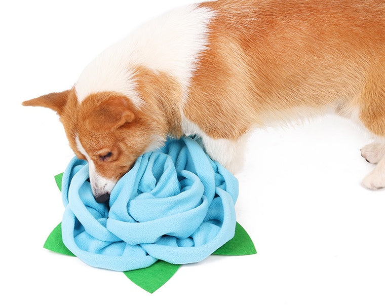 Pet Rose Smelling Pad To Hide Food Training